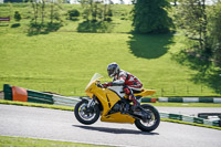Advanced Group Yellow Bikes